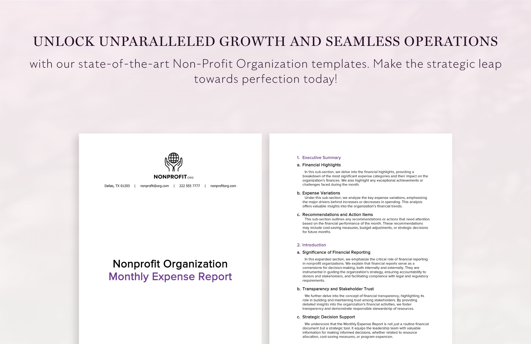 Nonprofit Organization Monthly Expense Report Template