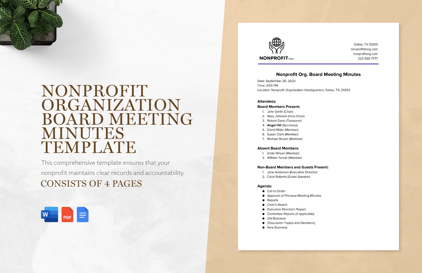 Nonprofit Organization Board Meeting Minutes Template