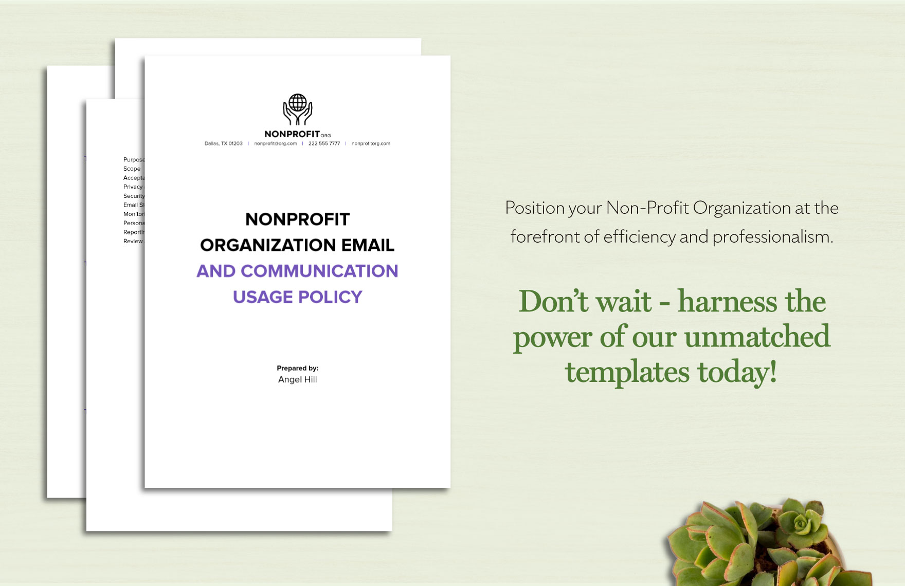 Nonprofit Organization Email and Communication Usage Policy Template
