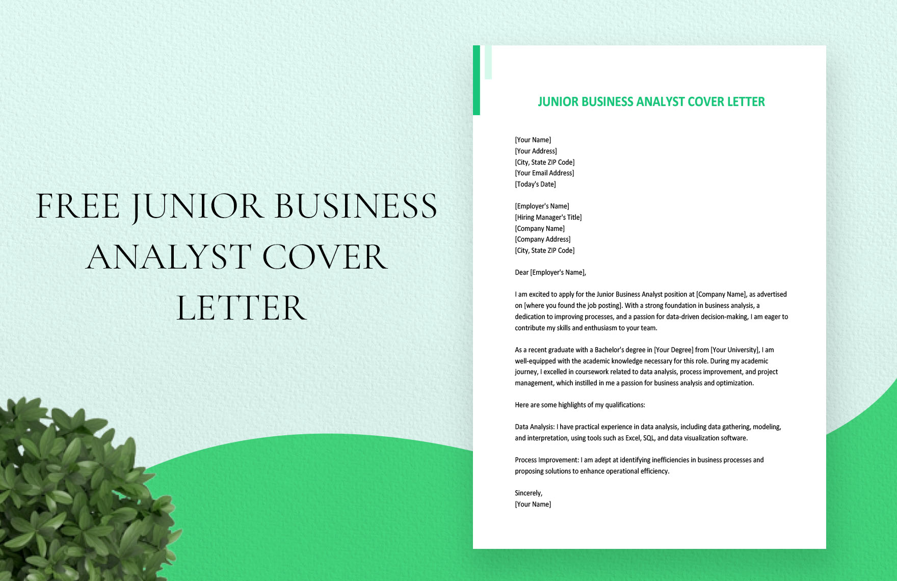 Junior Business Analyst Cover Letter in Word, Google Docs