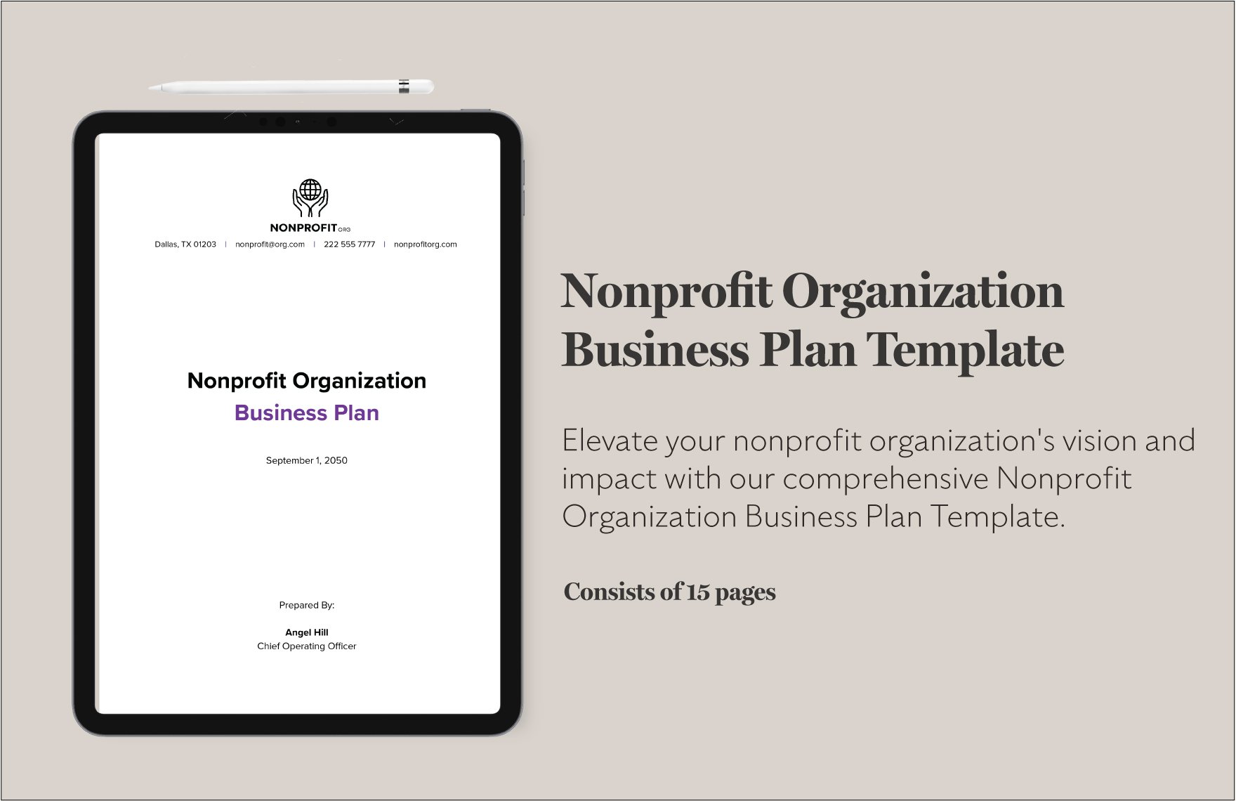 Nonprofit Organization Business Plan Template