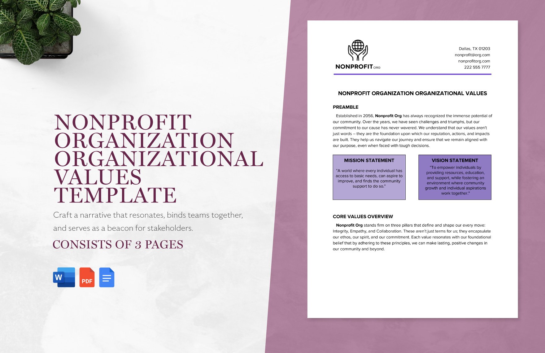 Nonprofit Organization Organizational Values Template in Word, Google Docs, PDF