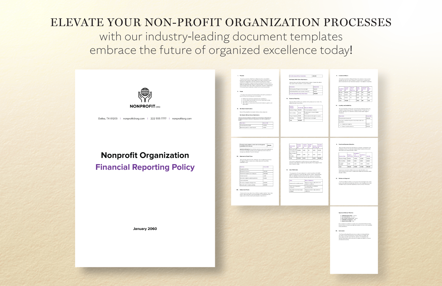Nonprofit Organization Financial Reporting Policy Template