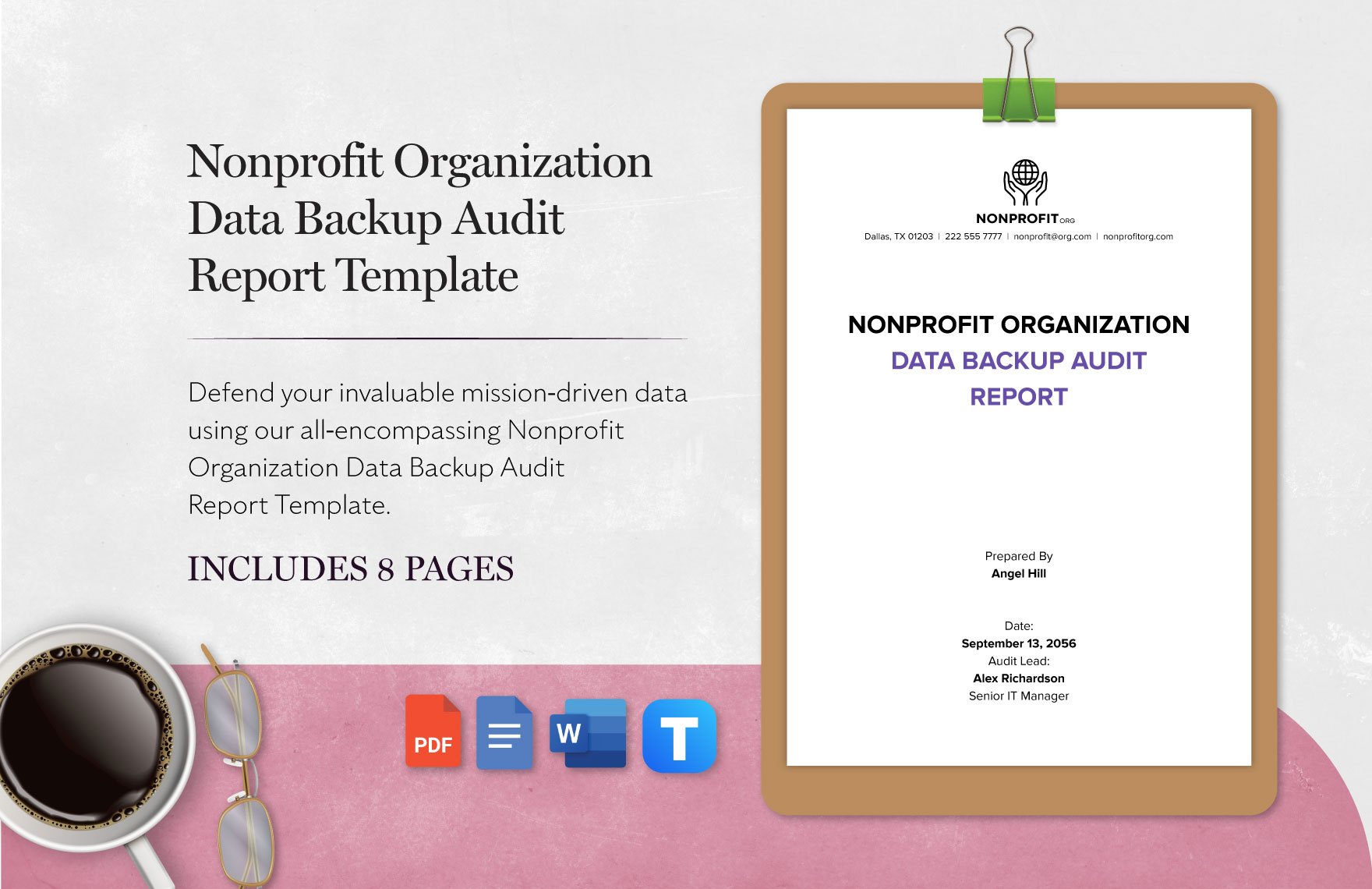 Nonprofit Organization Data Backup Audit Report Template
