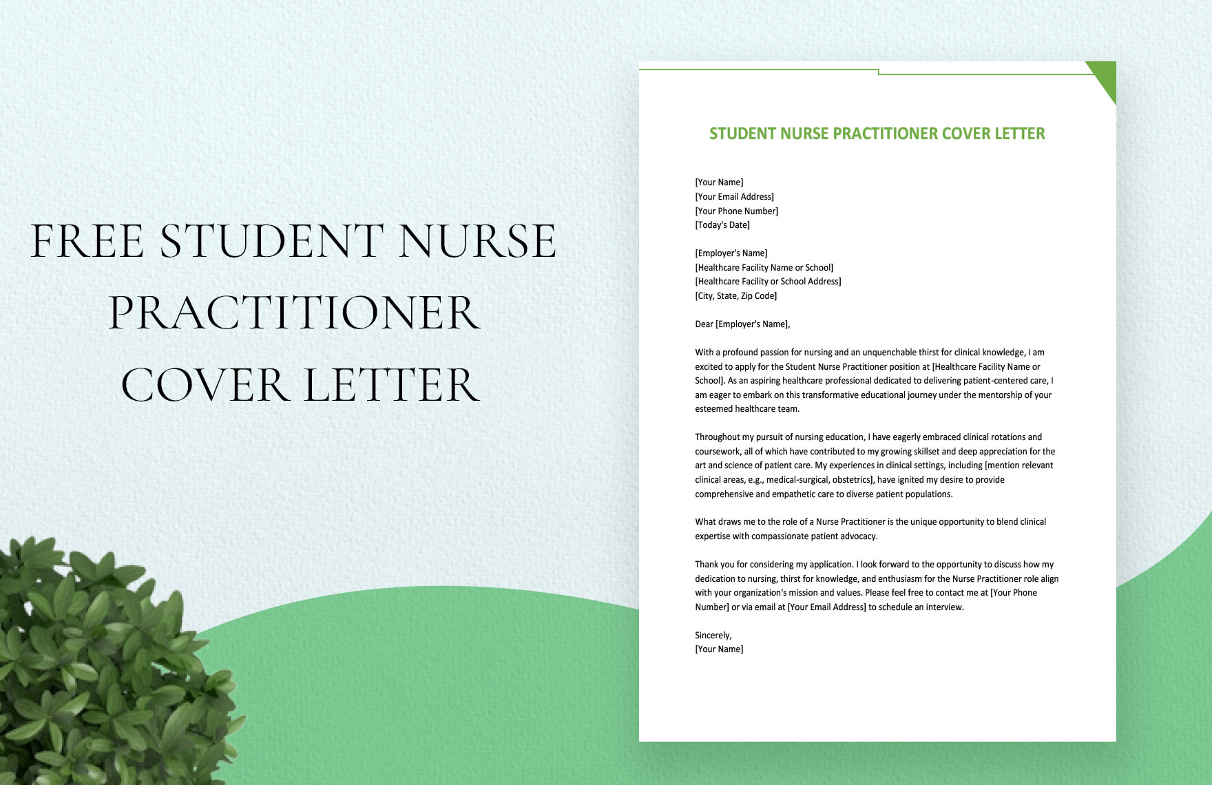 Student Nurse Practitioner Cover Letter in Word, Google Docs