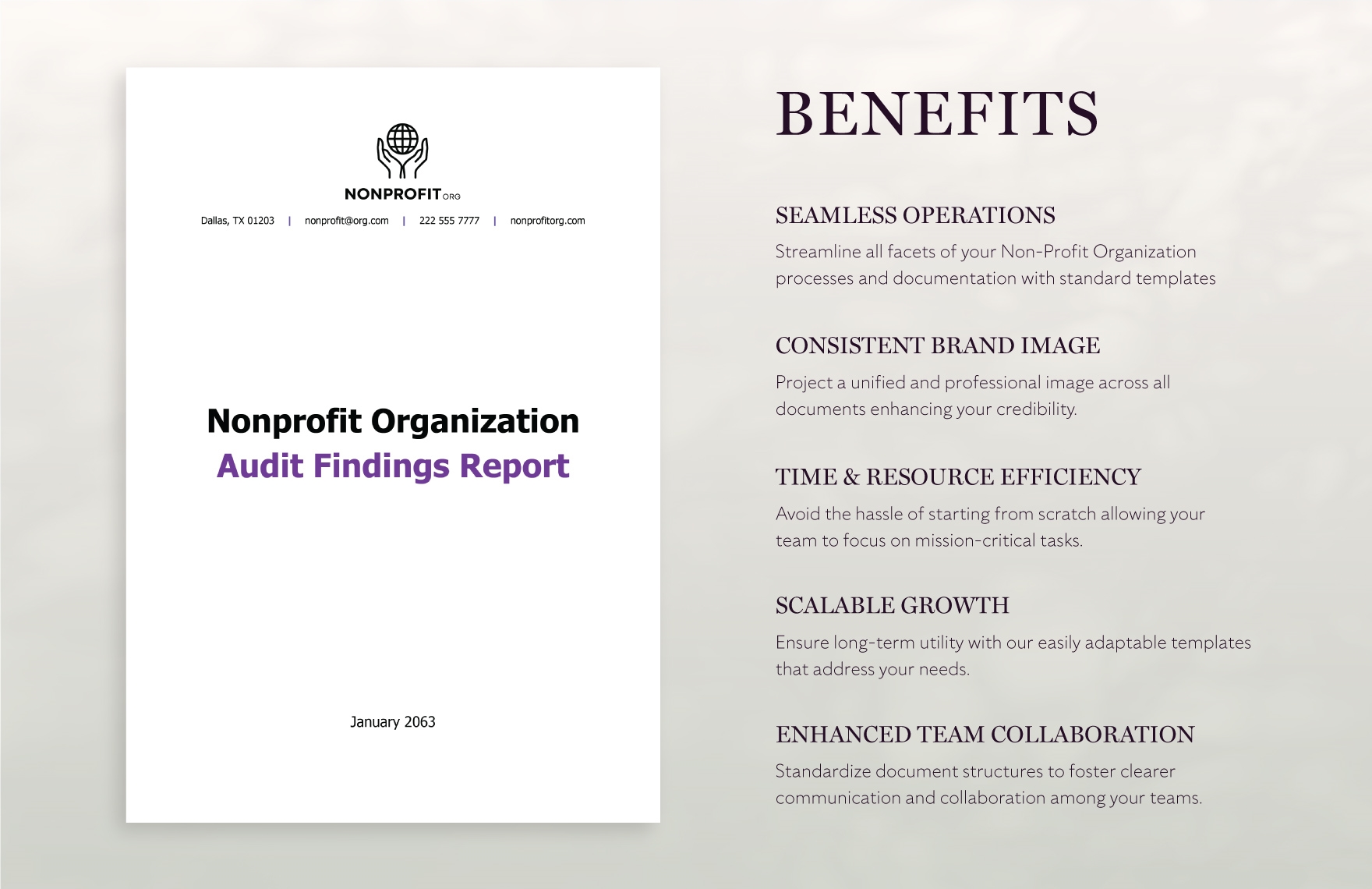 Nonprofit Organization Audit Findings Report Template