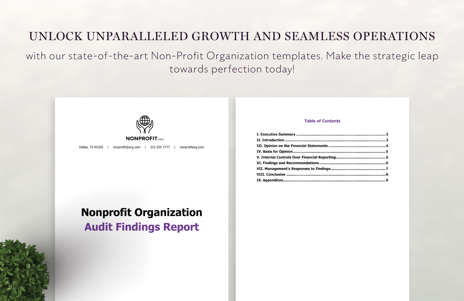 Nonprofit Organization Audit Findings Report Template