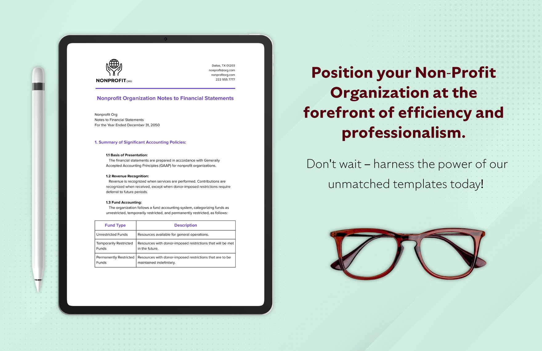Nonprofit Organization Notes to Financial Statements Template