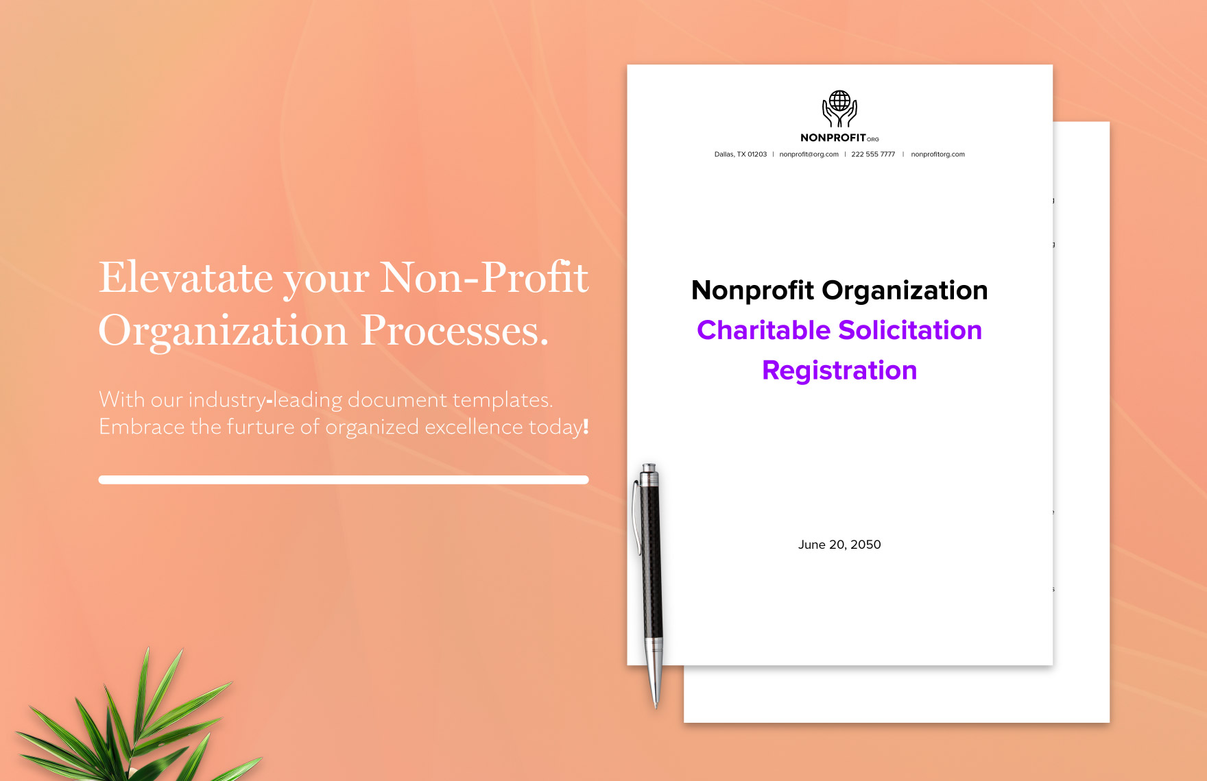 Nonprofit Organization Charitable Solicitation Registration Template
