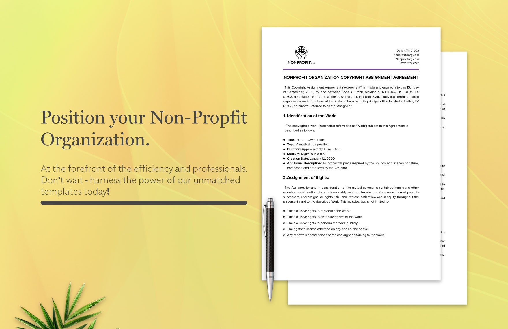 Nonprofit Organization Copyright Assignment Agreement Template