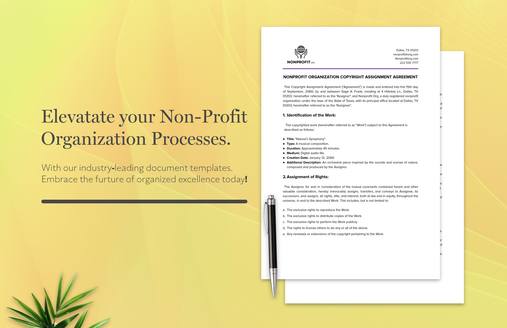  Nonprofit Organization Copyright Assignment Agreement Template
