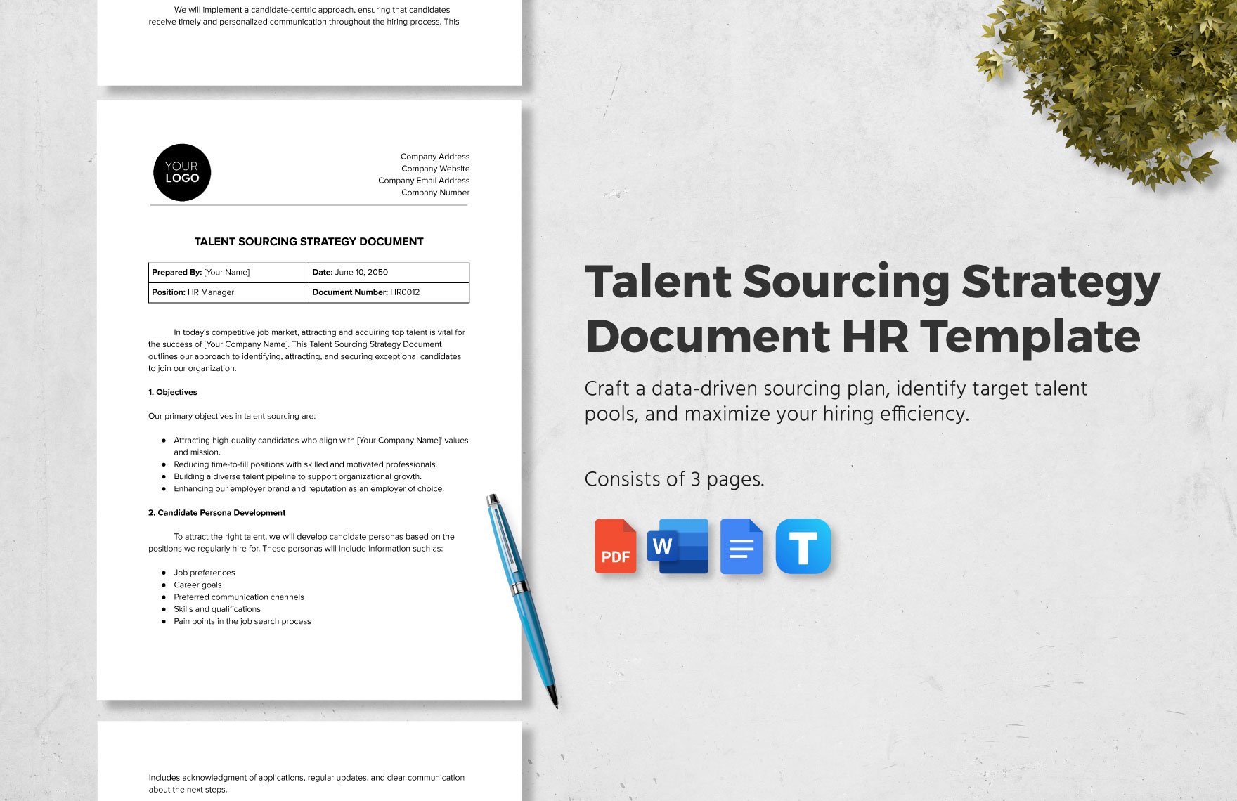 Talent Sourcing Strategy Document HR Template in Word, Google Docs, PDF