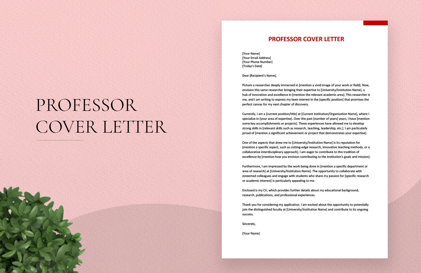 Free Professor Cover Letter