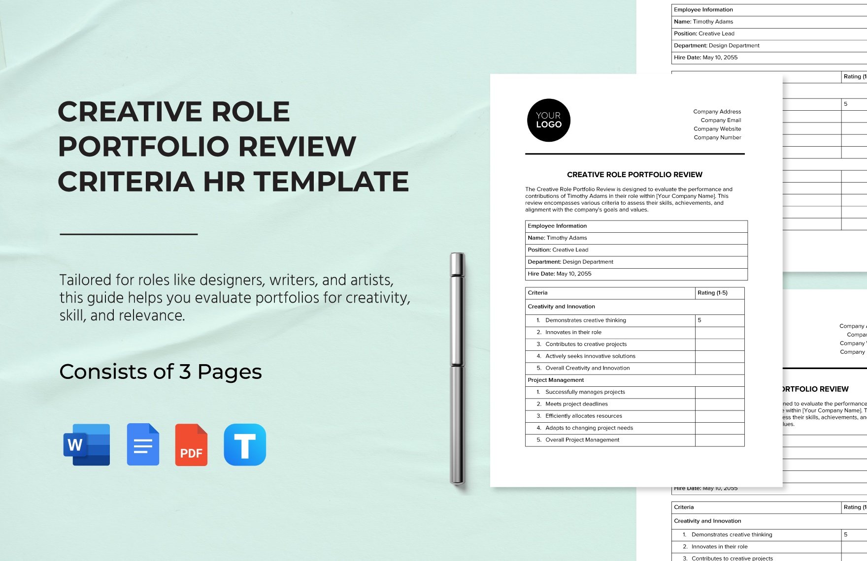 Creative Role Portfolio Review Criteria HR Template