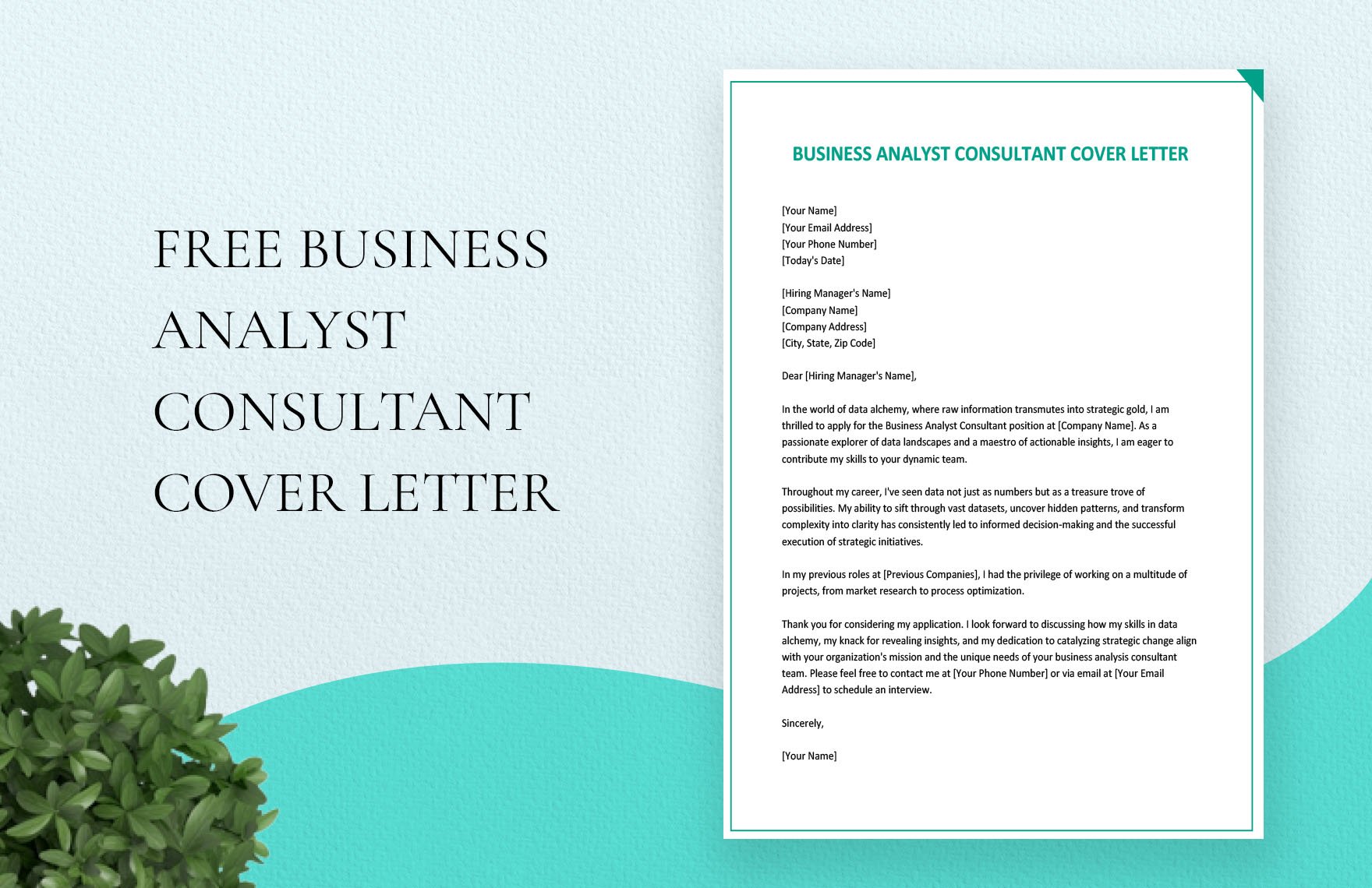 Business Analyst Consultant Cover Letter