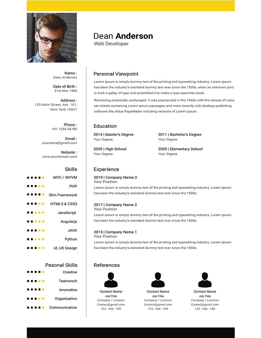 Professional Web Developer Resume