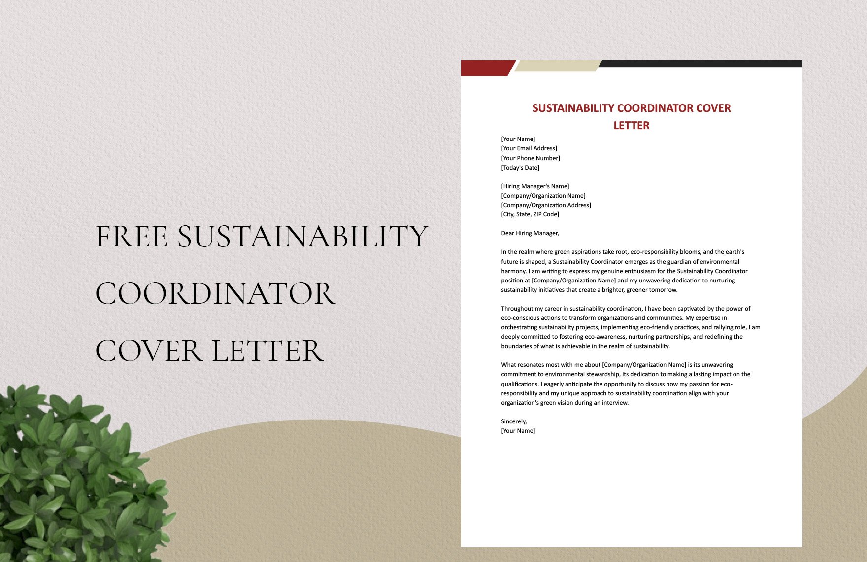 Sustainability Coordinator Cover Letter