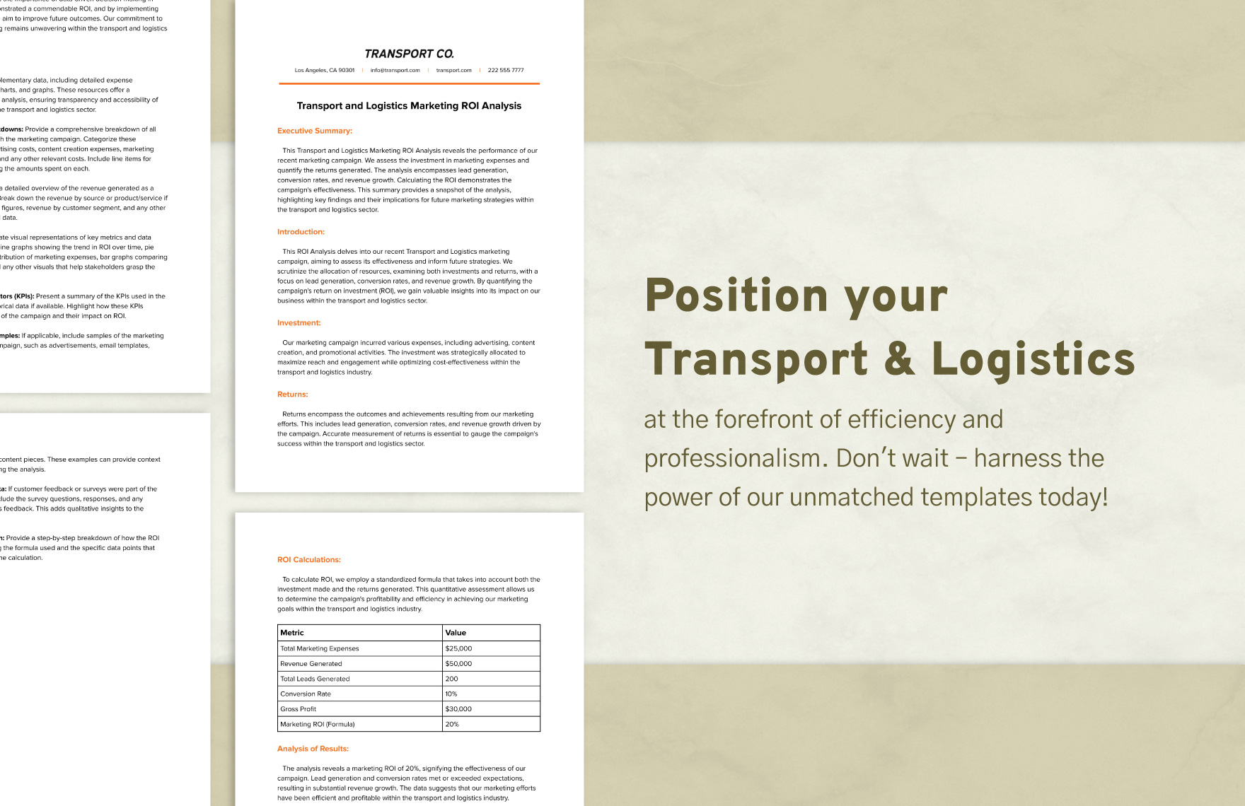 Transport and Logistics Marketing ROI Analysis Template