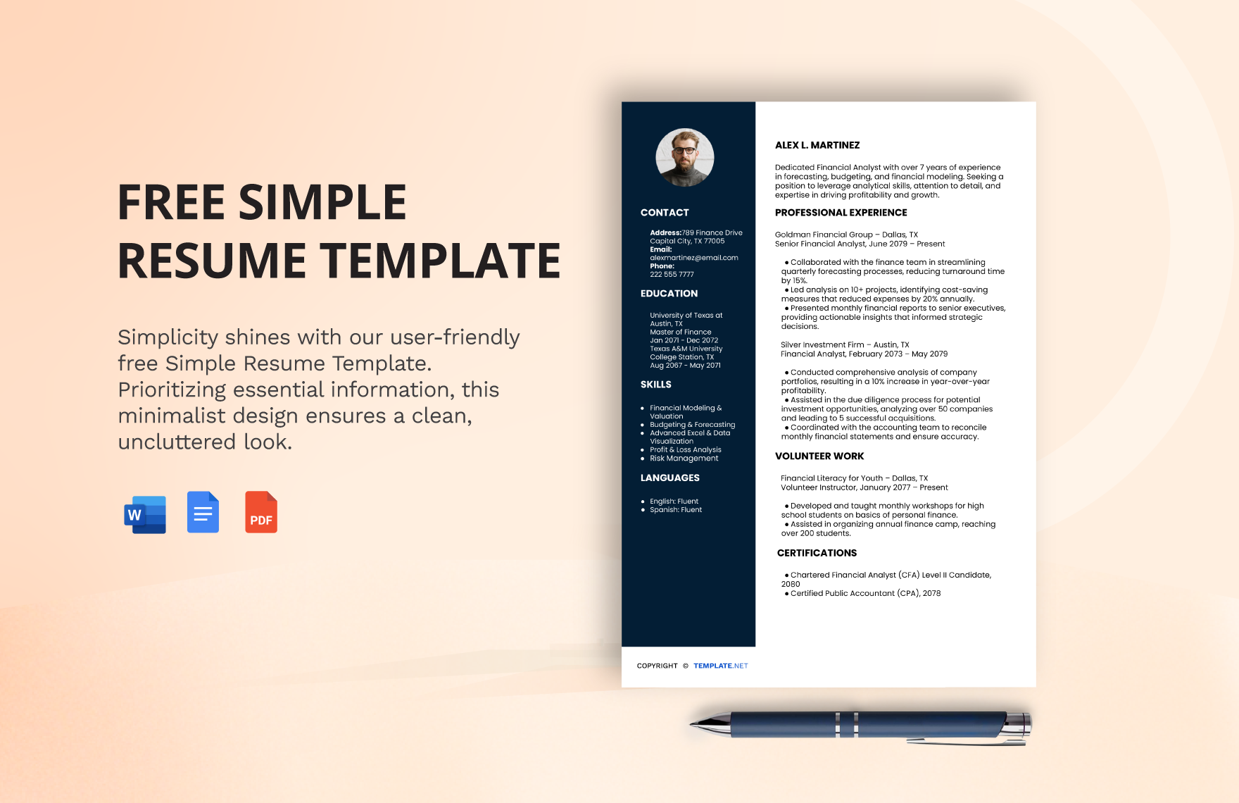 minimalist resume templates google docs