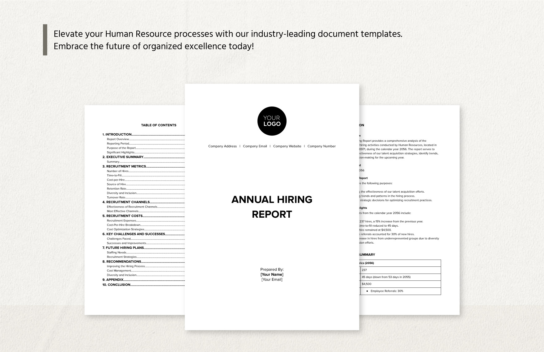 Annual Hiring Report HR Template