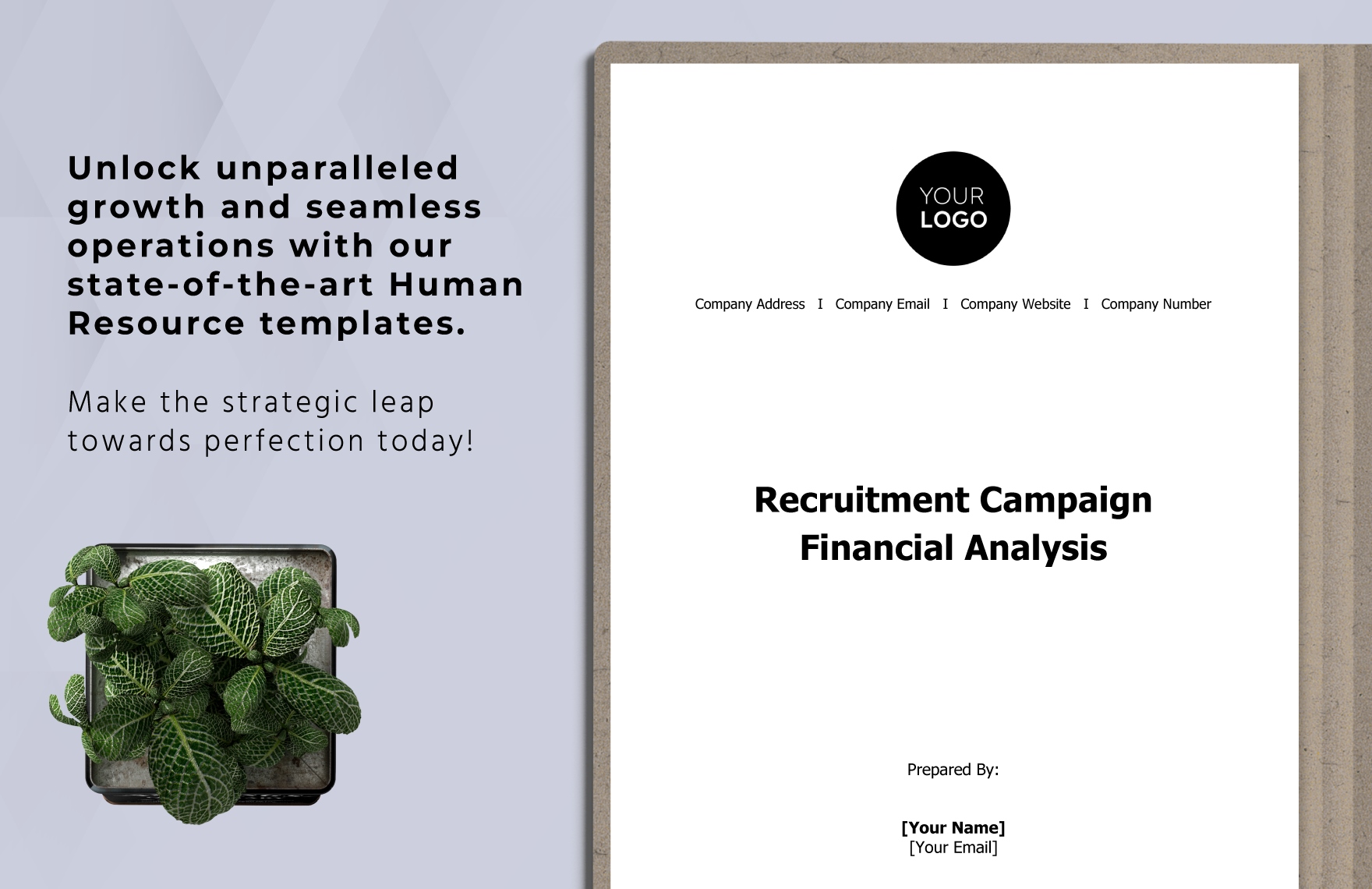 Recruitment Campaign Financial Analysis HR Template