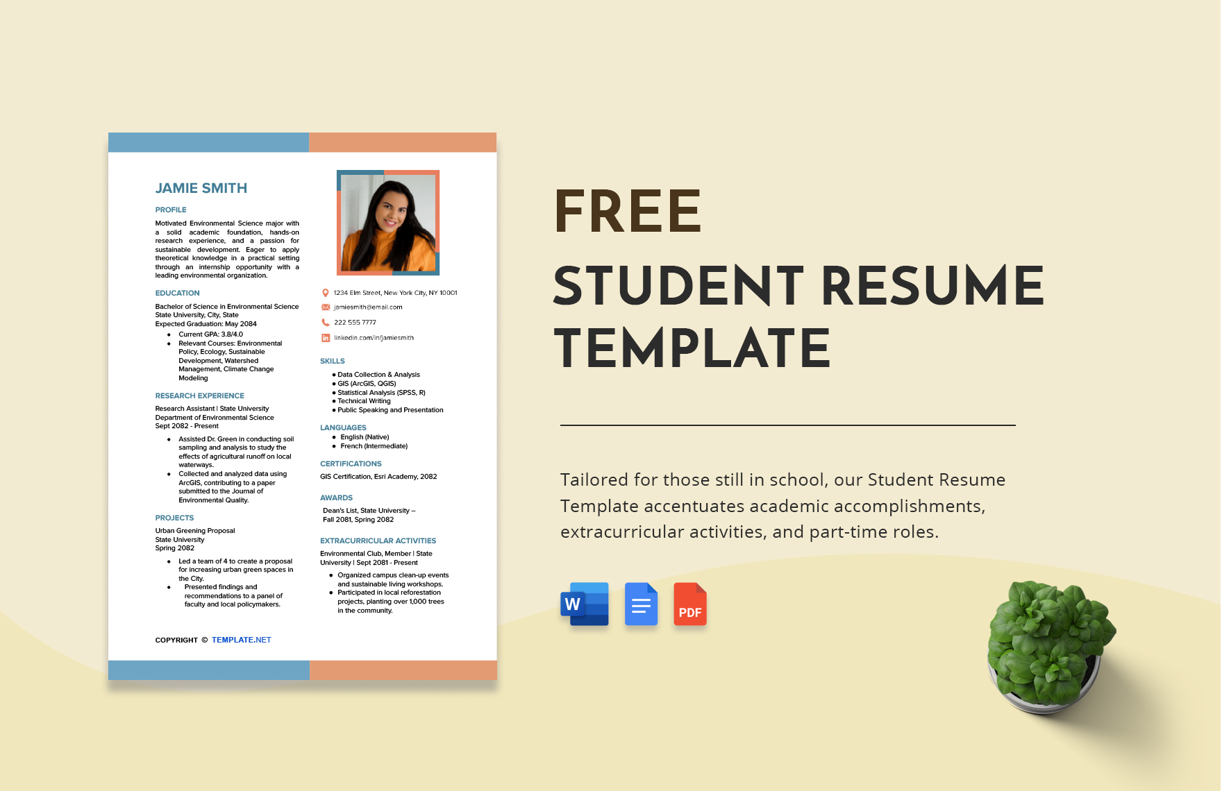 student resume template free download