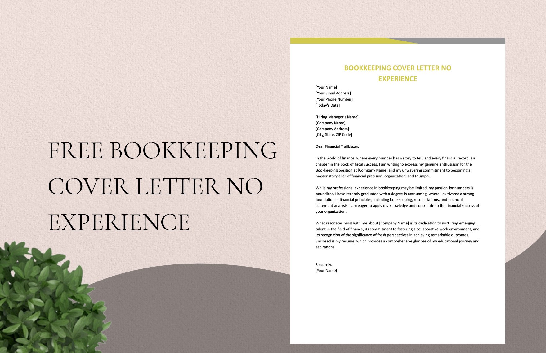 Bookkeeping Cover Letter No Experience