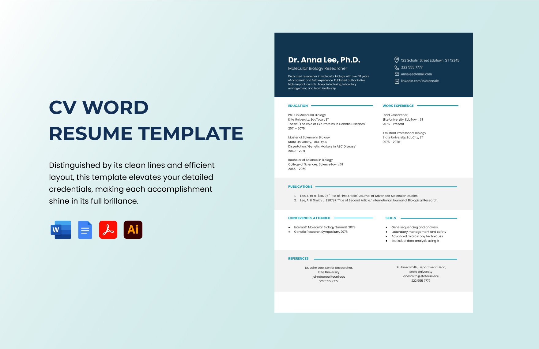 Free CV Word Resume Template in Word, Google Docs, PDF, Illustrator, Apple Pages