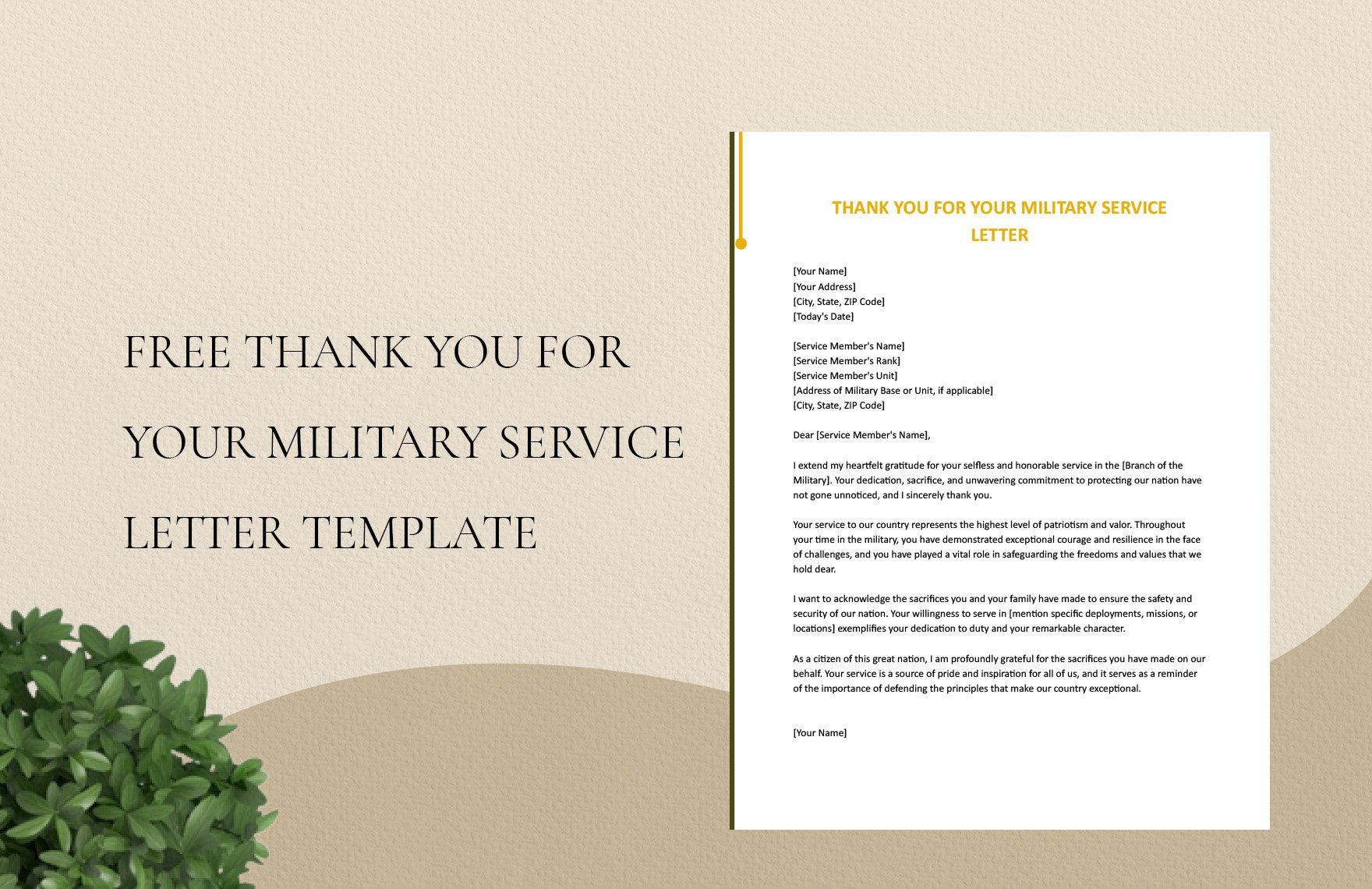 Thank You For Your Military Service Letter Template