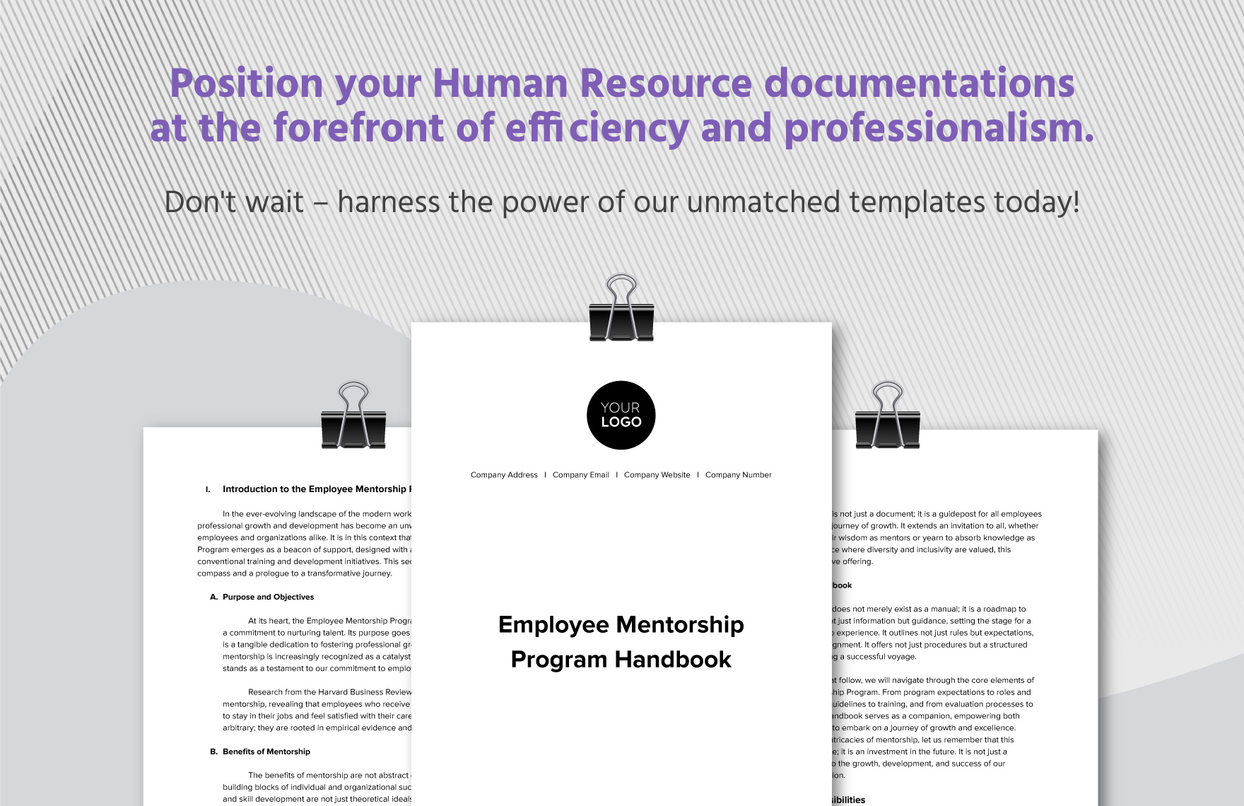 Employee Mentorship Program Handbook HR Template