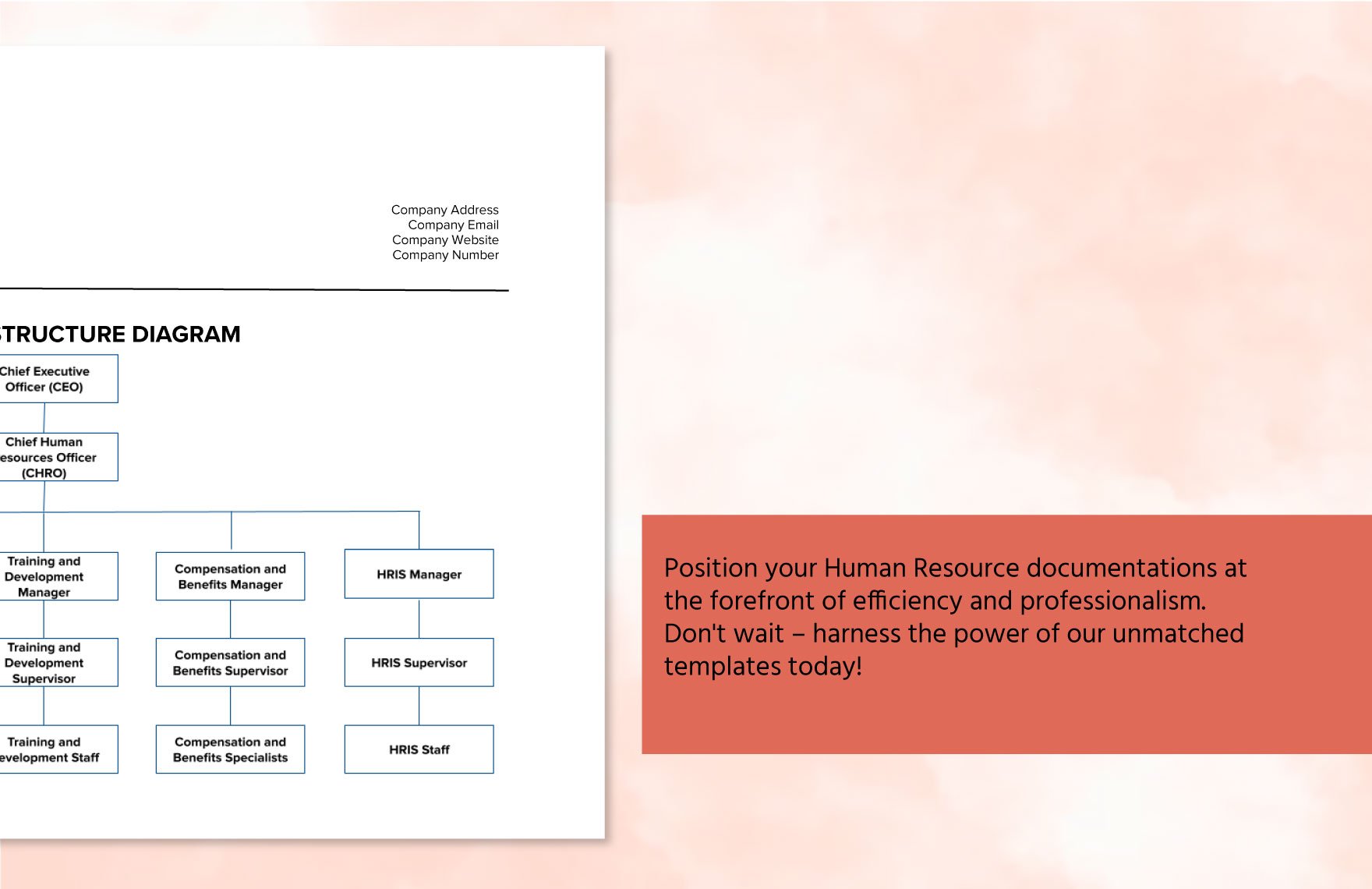 Reporting Structure Diagram HR Template
