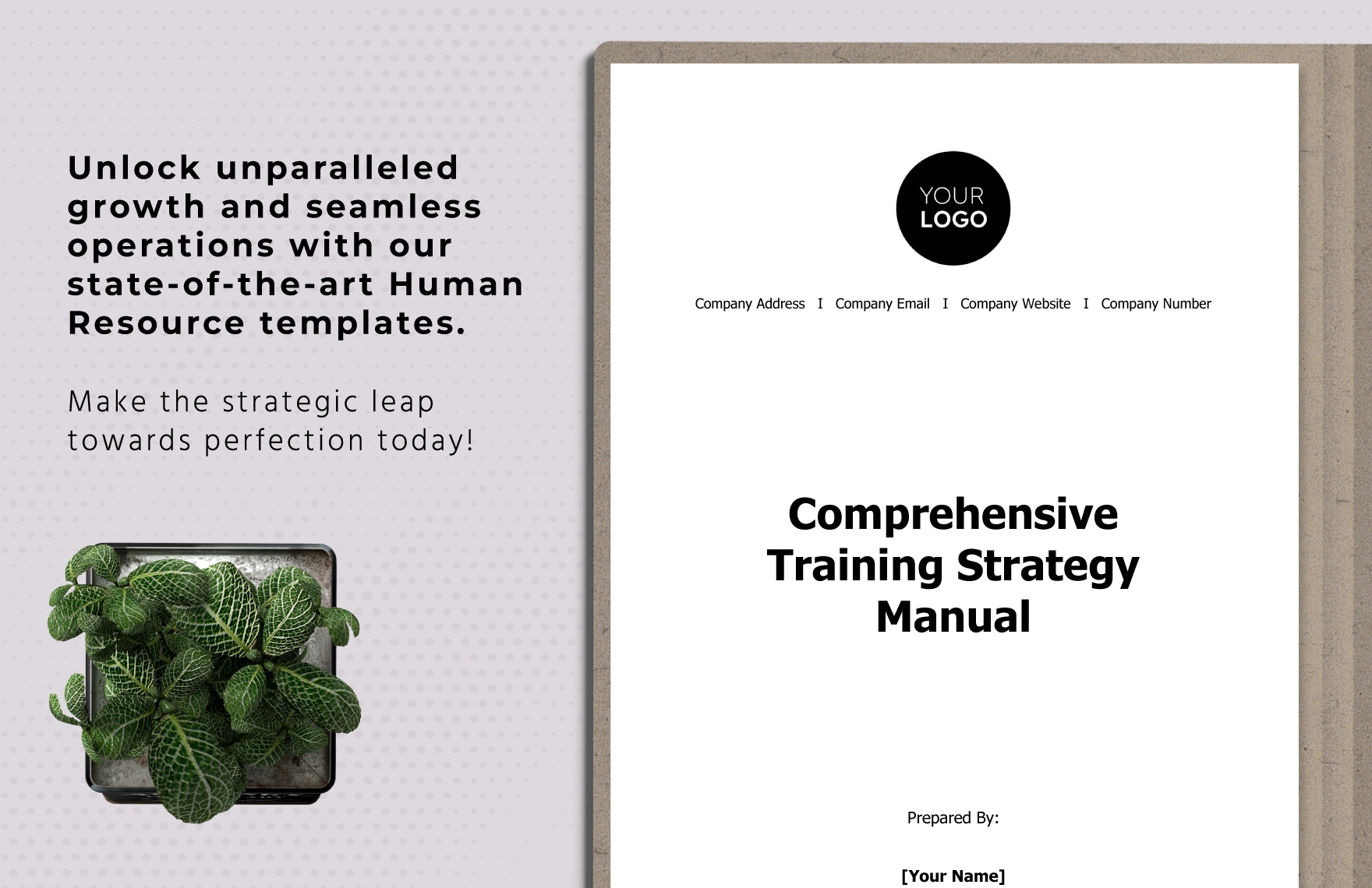 Comprehensive Training Strategy Manual HR Template