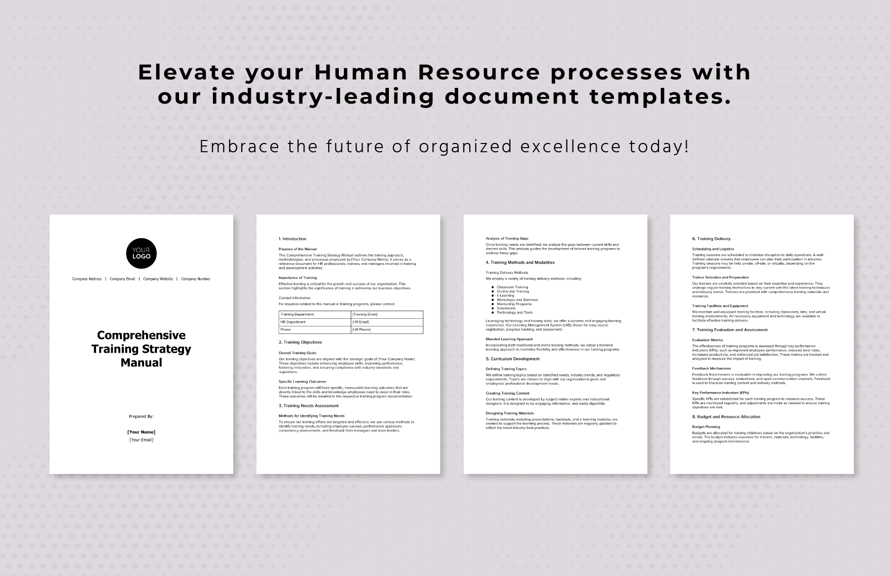 Comprehensive Training Strategy Manual HR Template