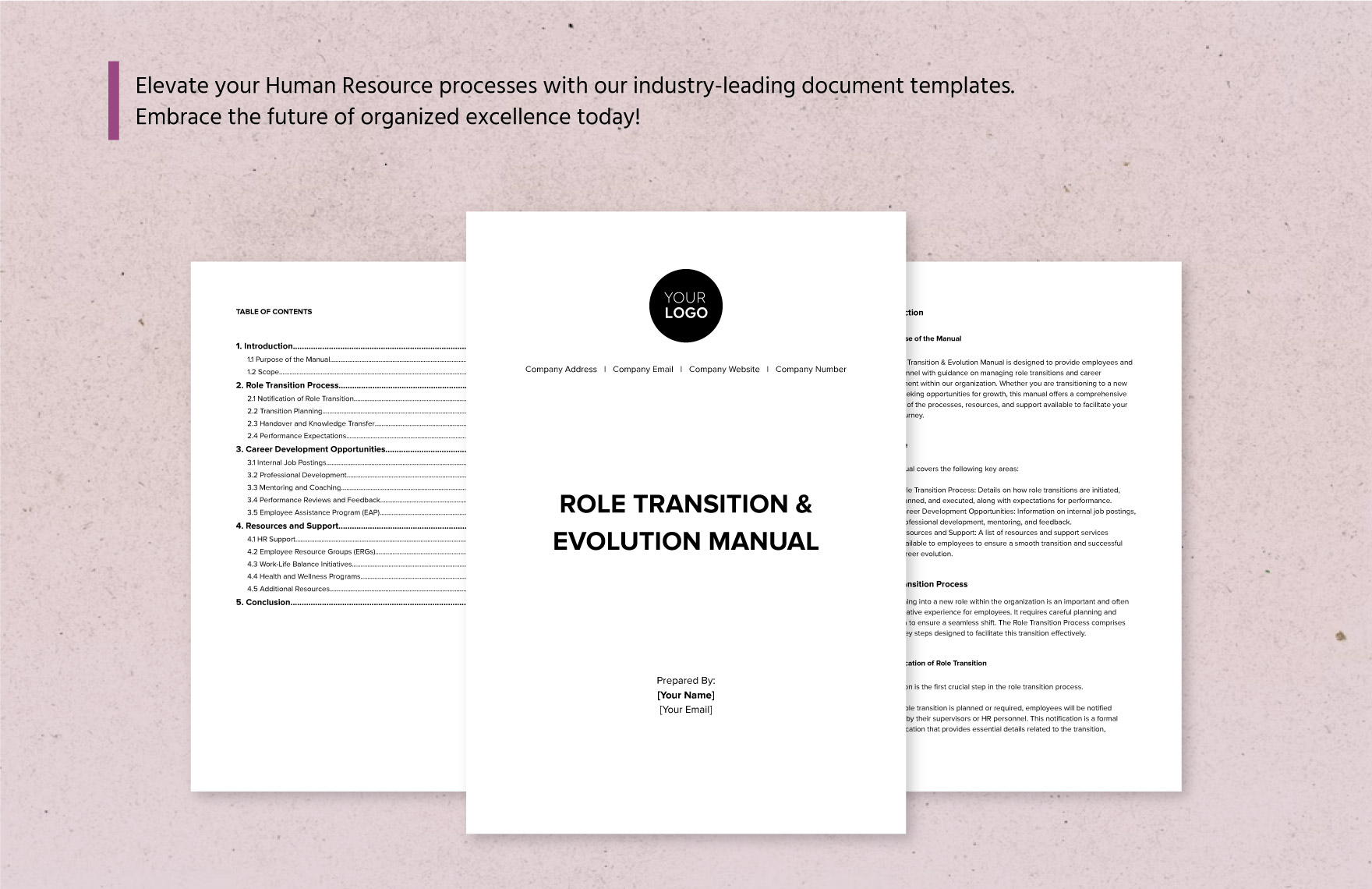 Role Transition & Evolution Manual HR Template