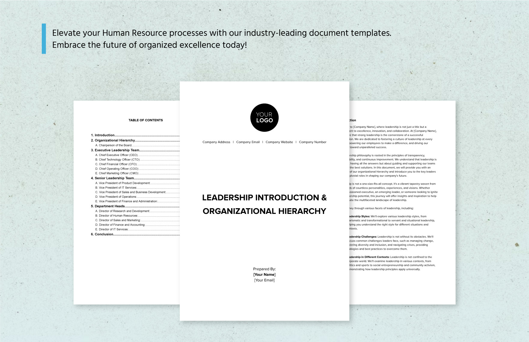 Leadership Introduction & Organizational Hierarchy HR Template