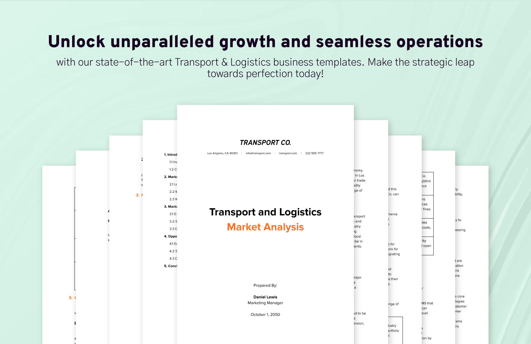 Transport and Logistics Market Analysis Template