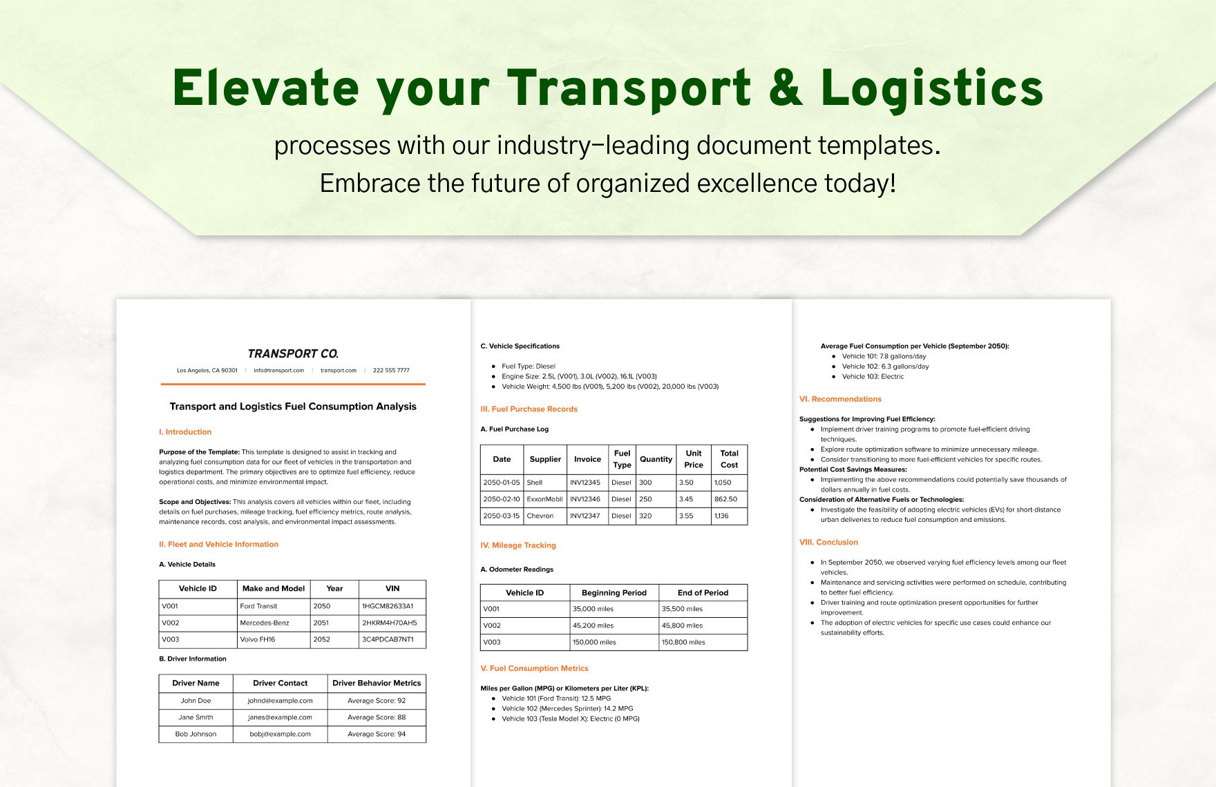 Transport and Logistics Fuel Consumption Analysis Template