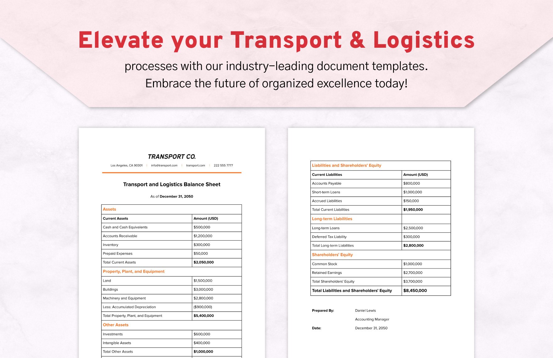 Transport and Logistics Balance Sheet Template