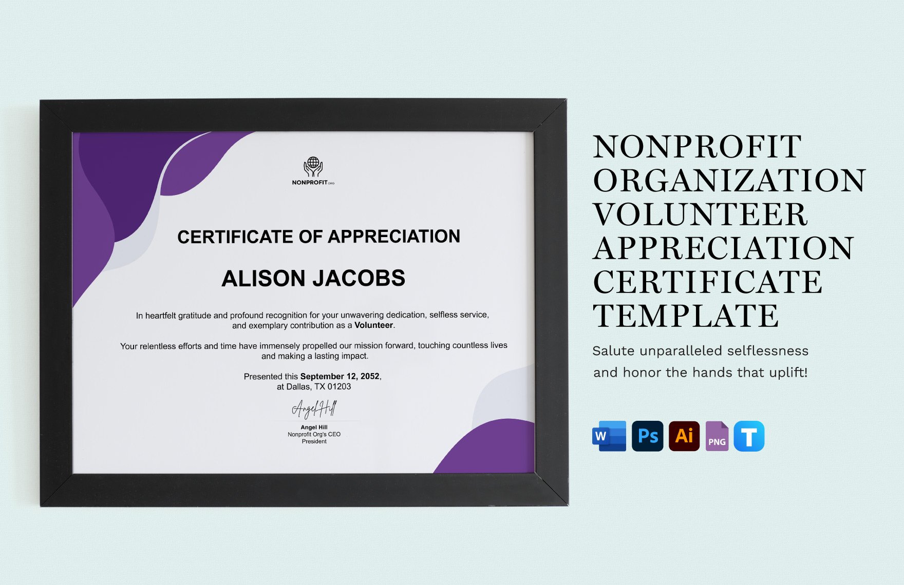 Nonprofit Organization Volunteer Appreciation Certificate Template