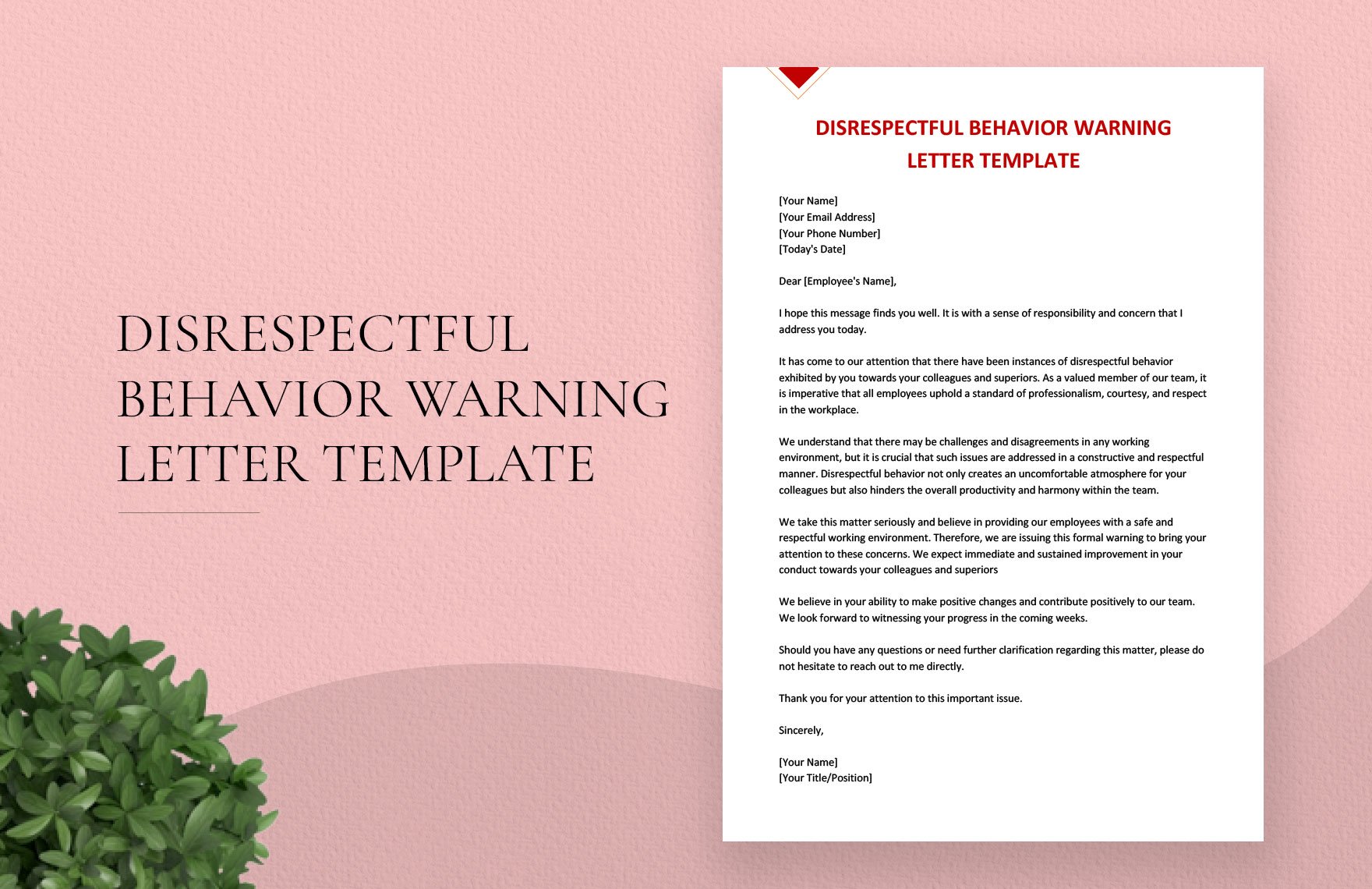 Disrespectful Behavior Warning Letter Template