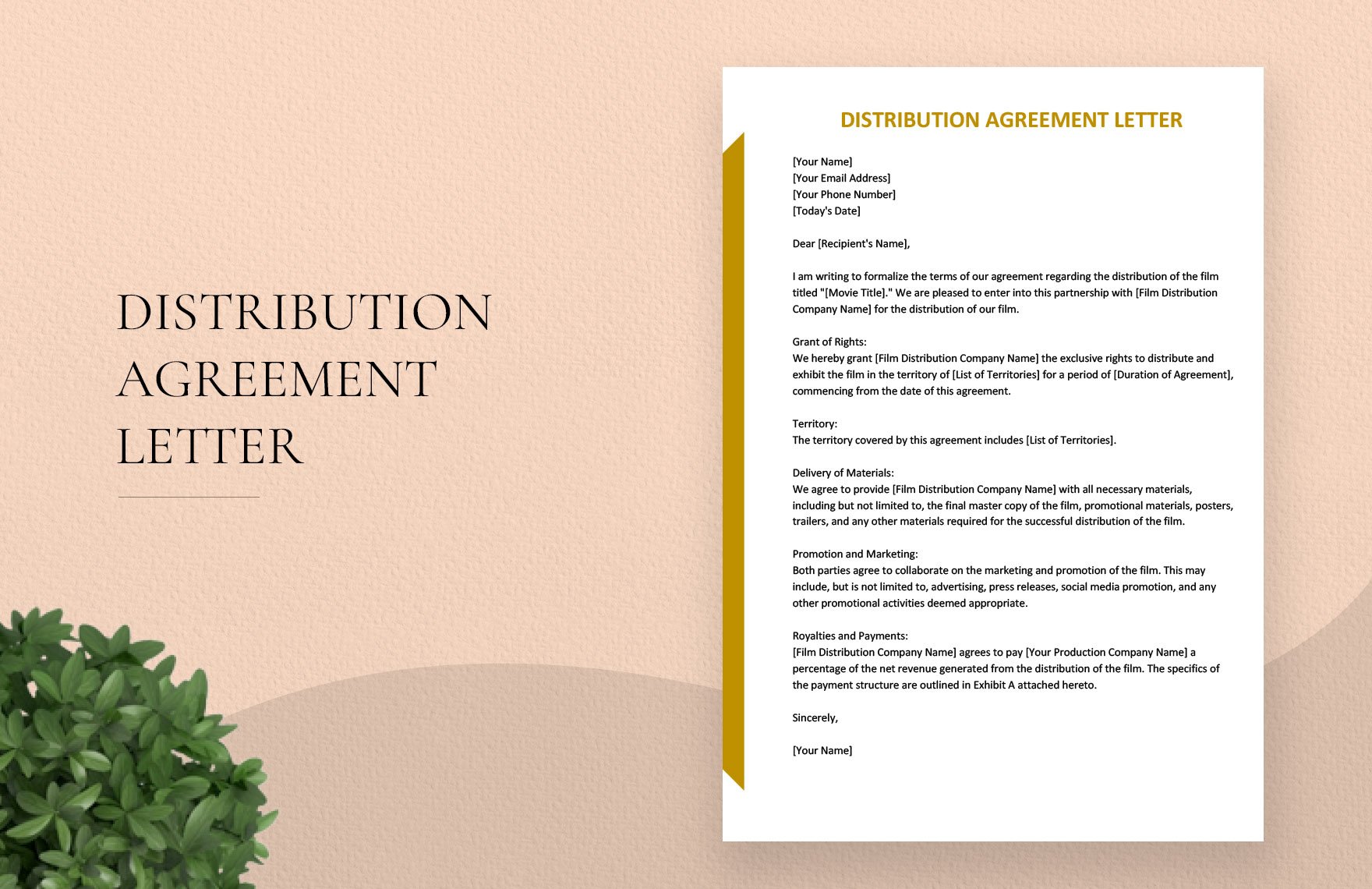 Distribution Agreement Letter