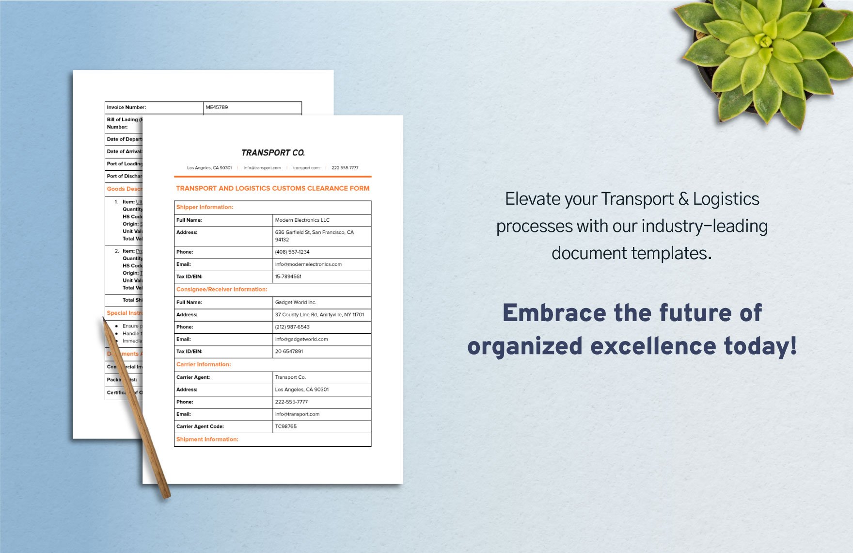 Transport and Logistics Customs Clearance Form Template