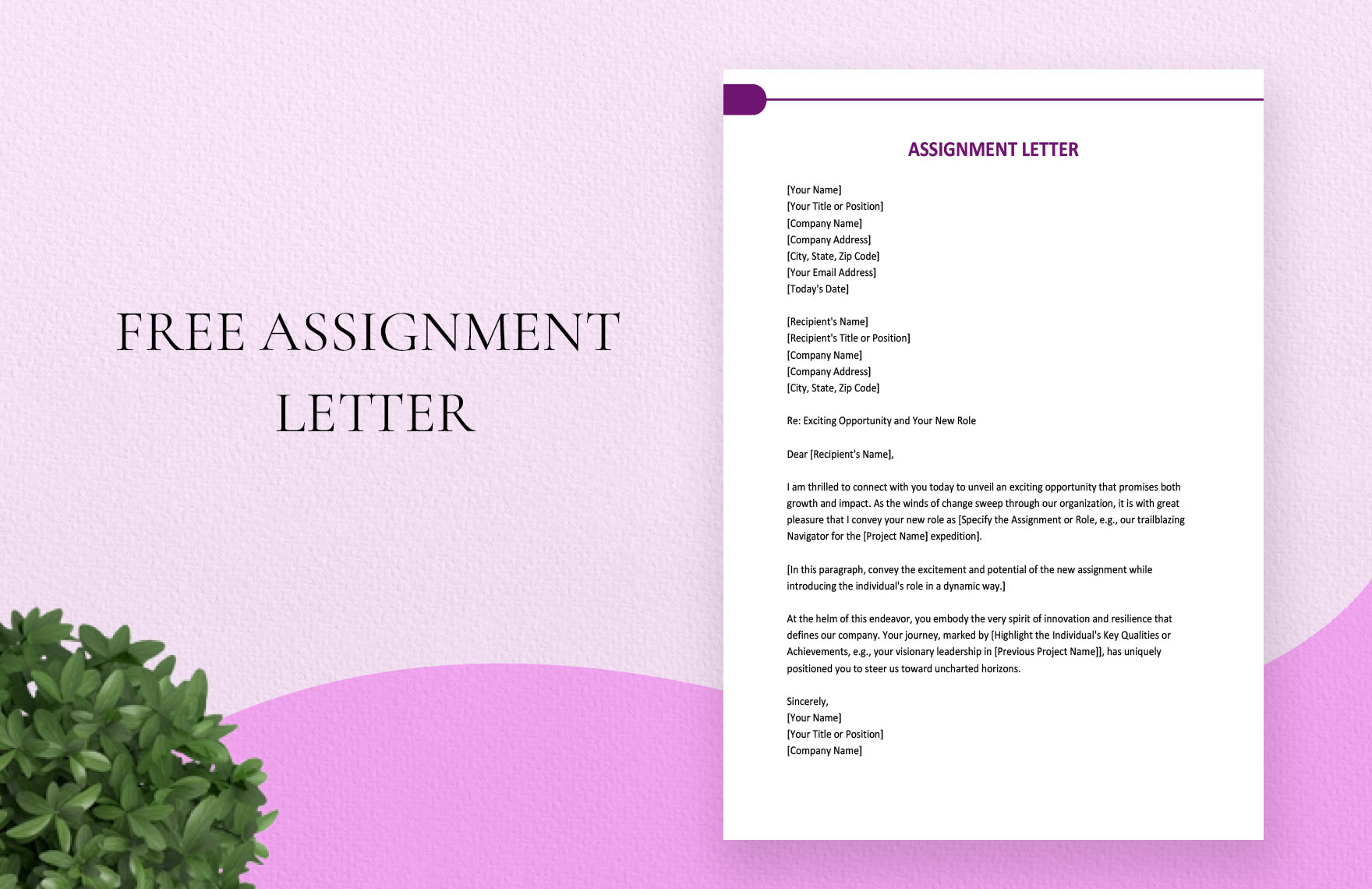 Assignment Letter Template - prntbl.concejomunicipaldechinu.gov.co