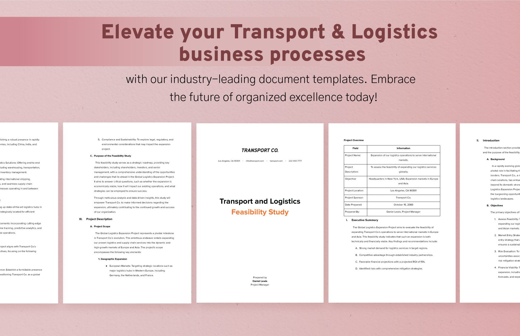 Transport and Logistics Feasibility Study Template