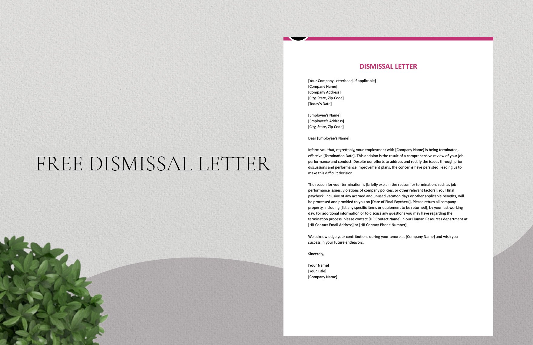 Dismissal Letter in Word, Google Docs
