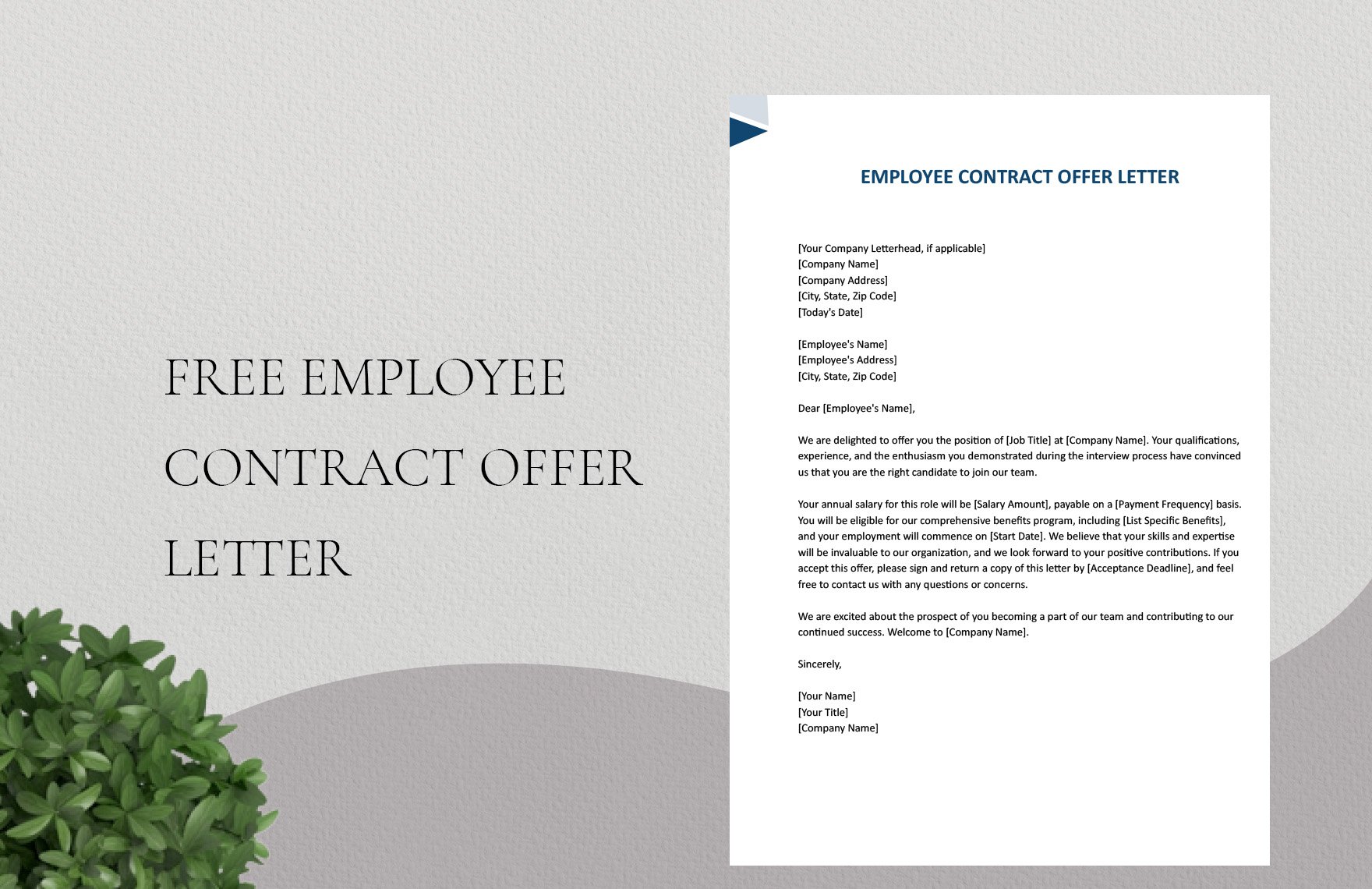 Employee Contract Offer Letter