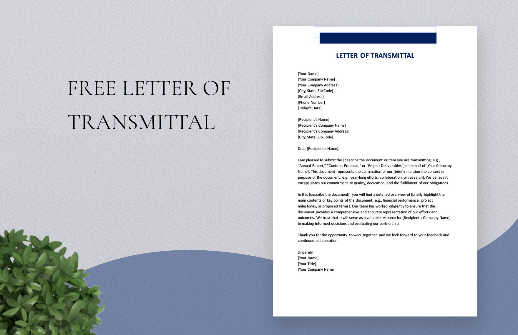 Letter Of Transmittal