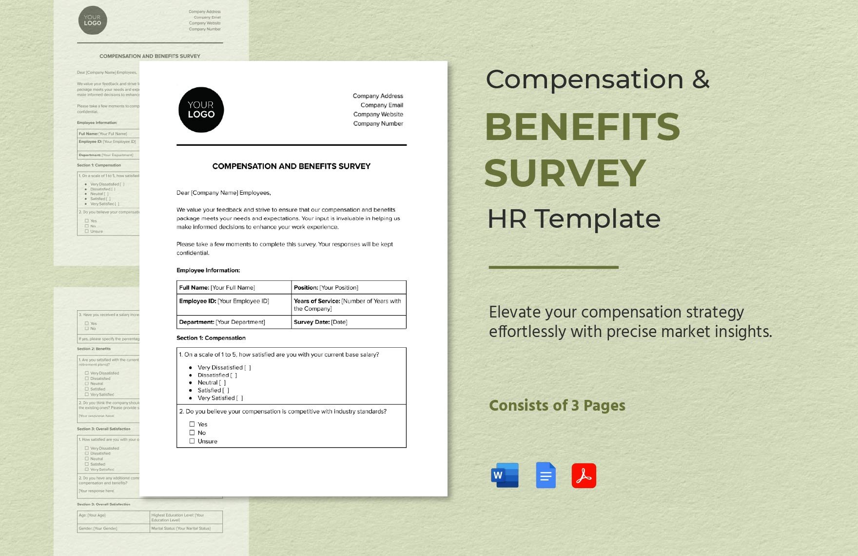 Compensation and Benefits Survey HR Template