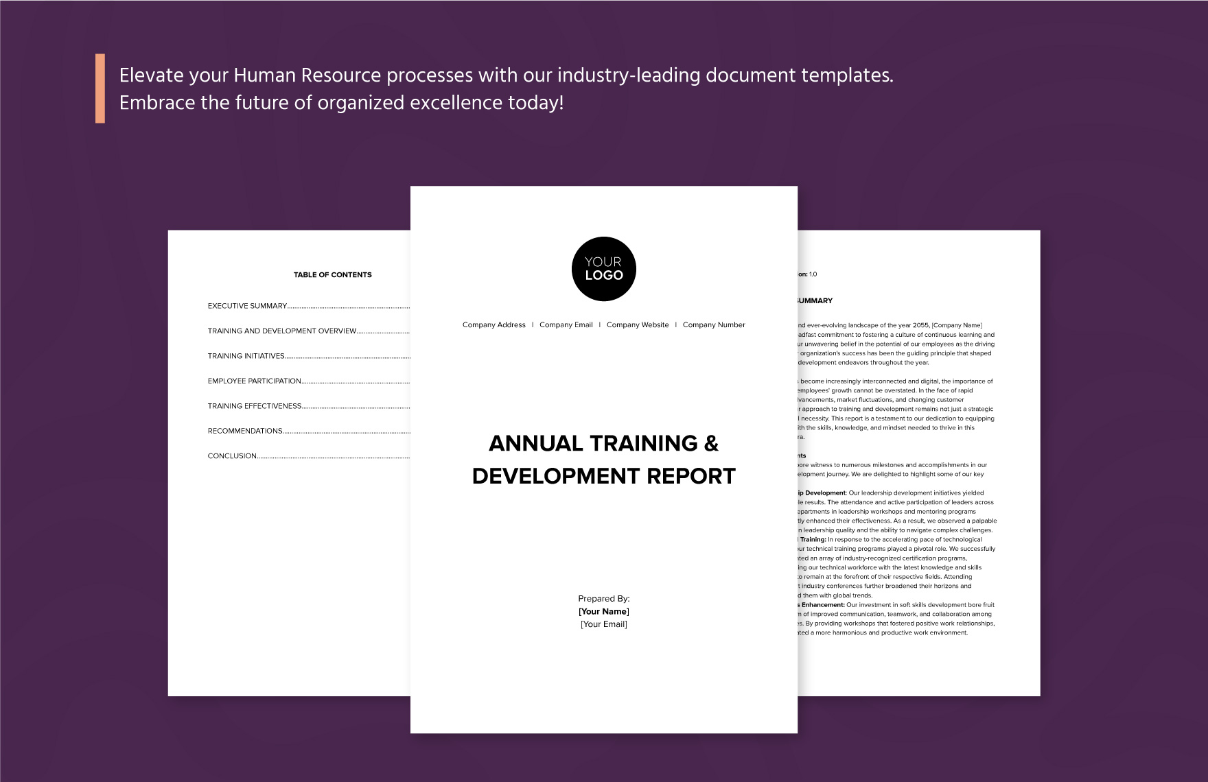 Annual Training & Development Report HR Template