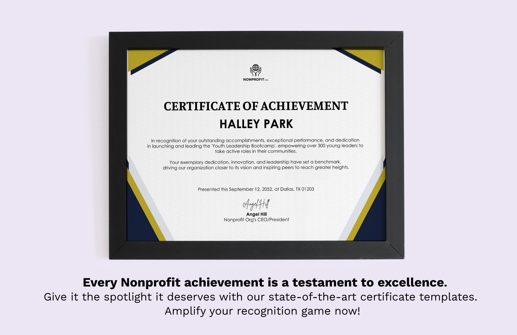 Nonprofit Organization Achievement Certificate Template